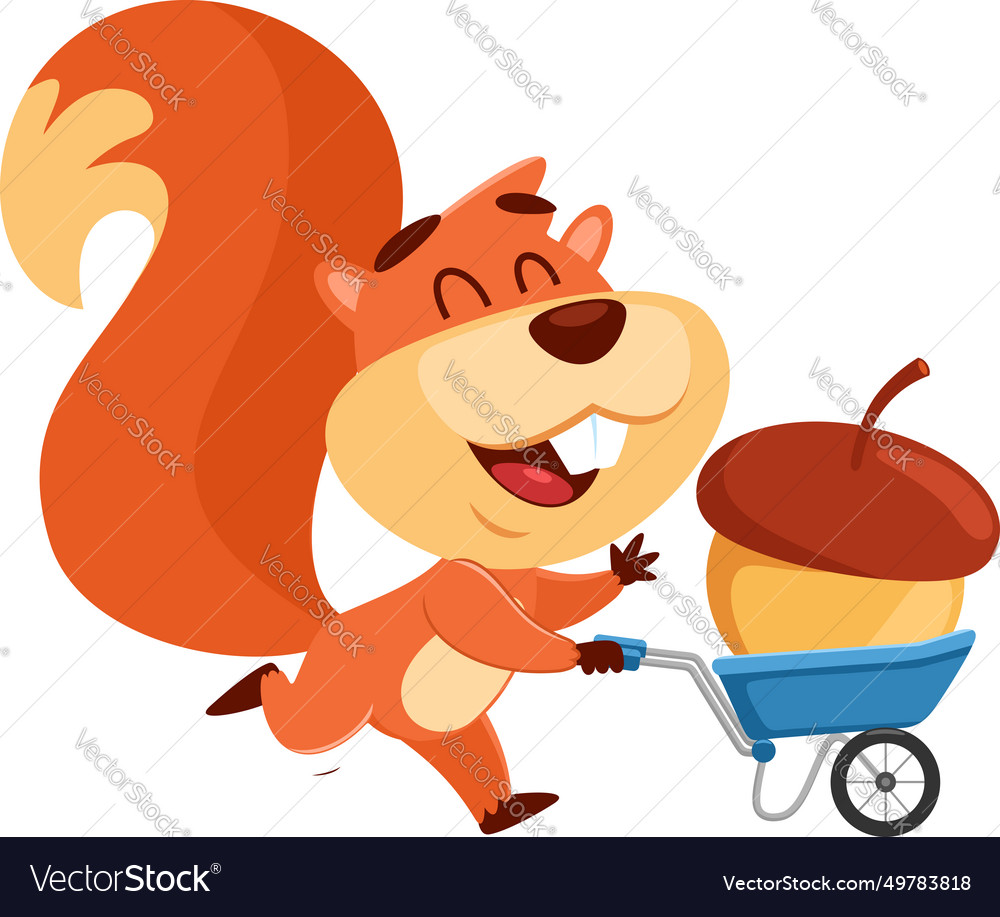 Cute squirrel cartoon character