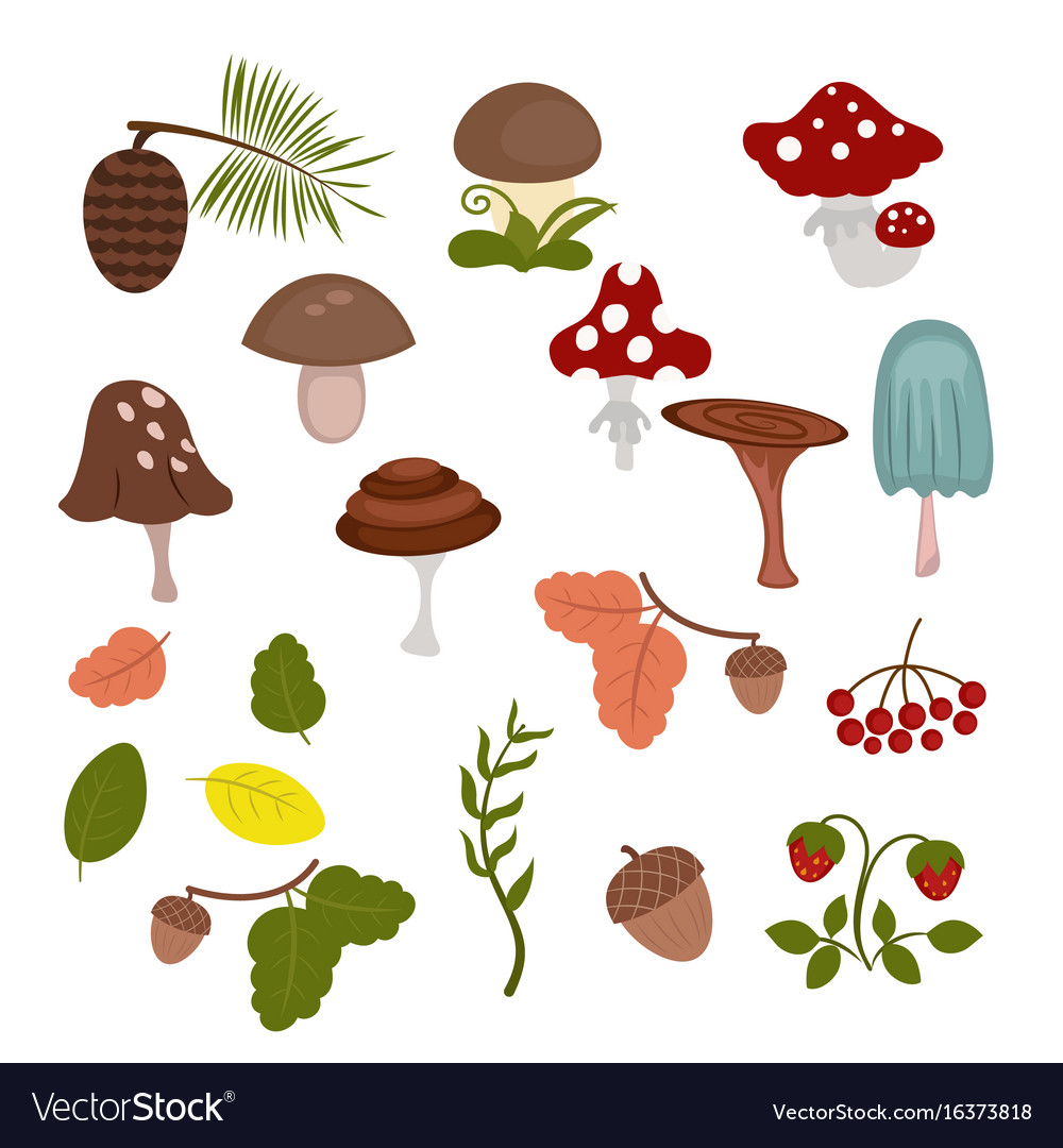 Forest elements Royalty Free Vector Image - VectorStock