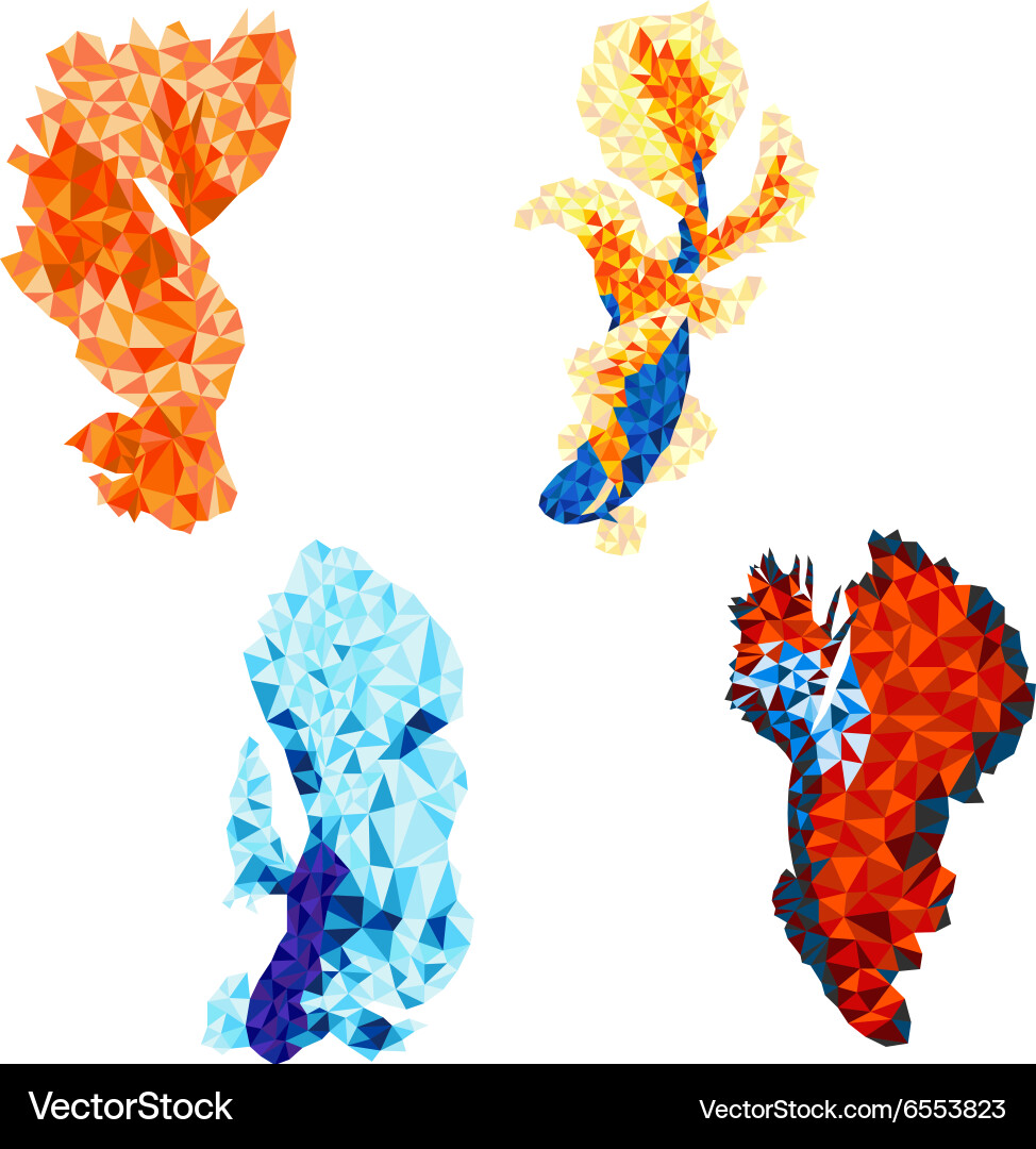Polygon Fish Vector Fighting fish polygon Royalty Free Vector Image