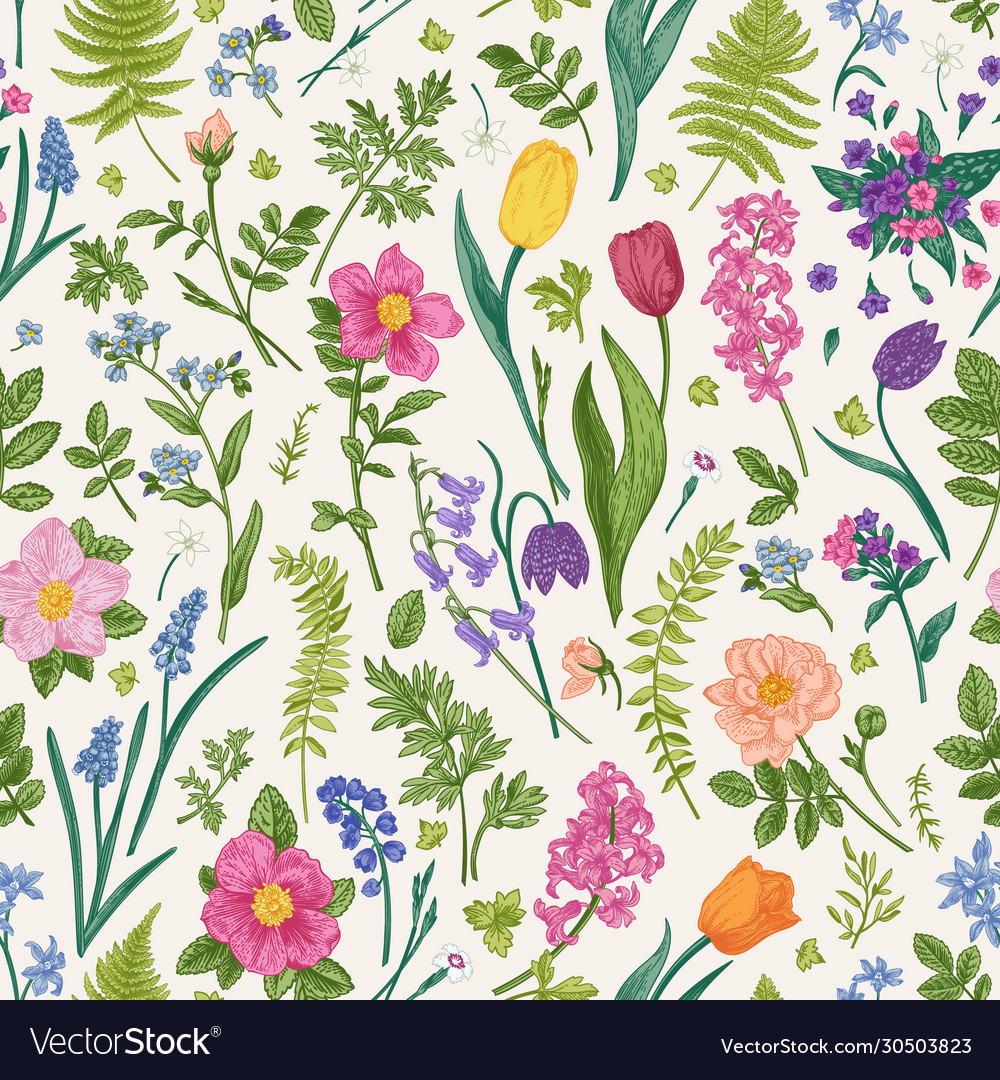 Floral seamless pattern vector image Floral seamless pattern