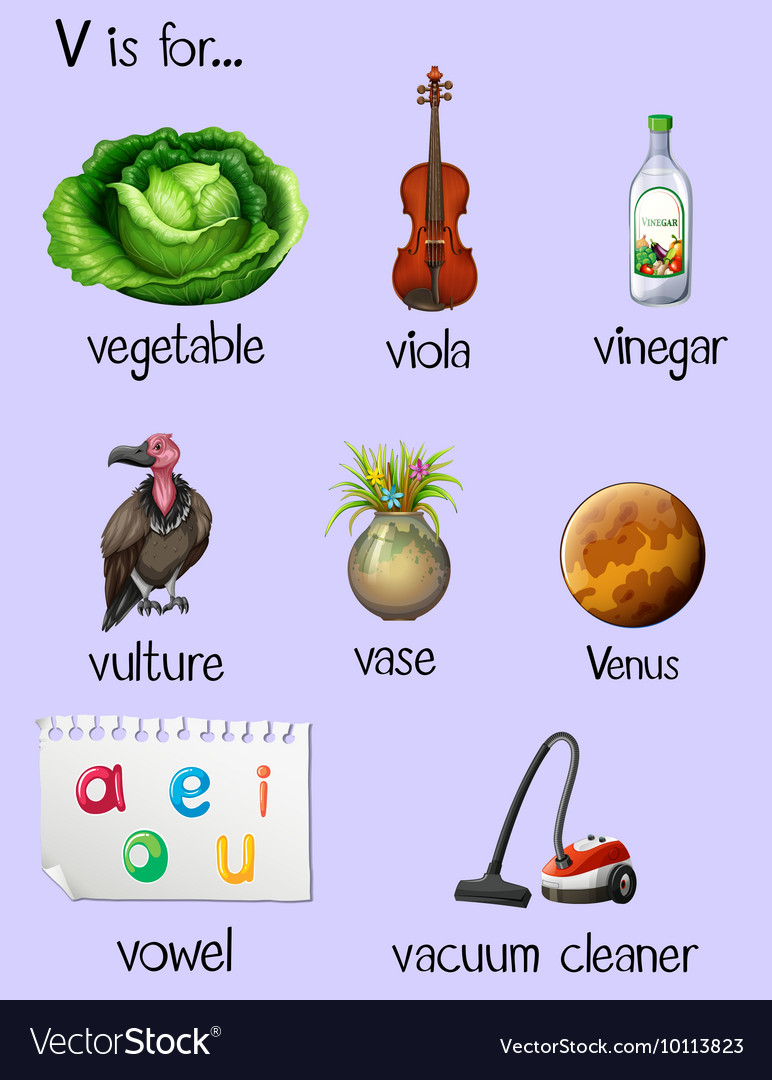 image-result-for-letter-v-words-and-pictures-v-words-letter-v-words