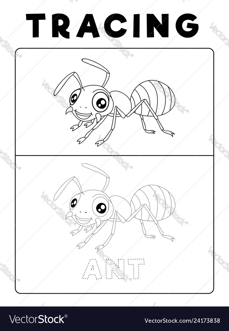 Funny ant insect animal tracing book with example Vector Image