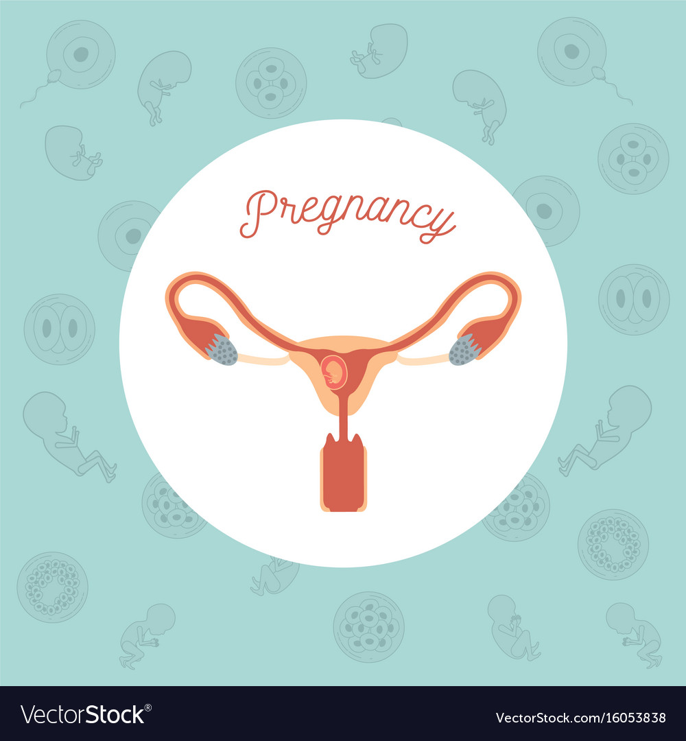 Green color background pattern pregnancy icons