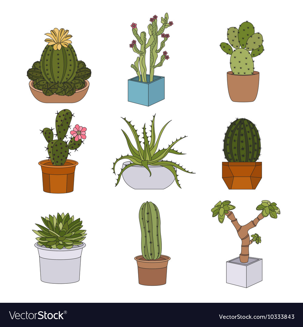Cactuses And Succulents Icon Set Houseplants Vector Image