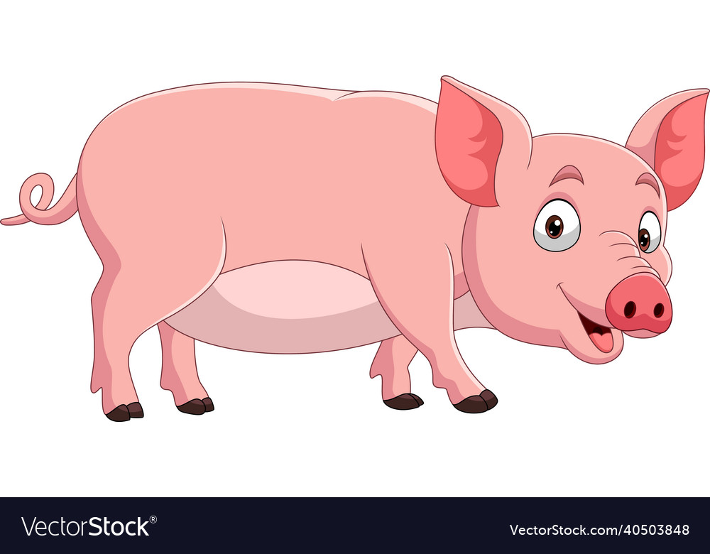 Cartoon funny pig on white background Royalty Free Vector