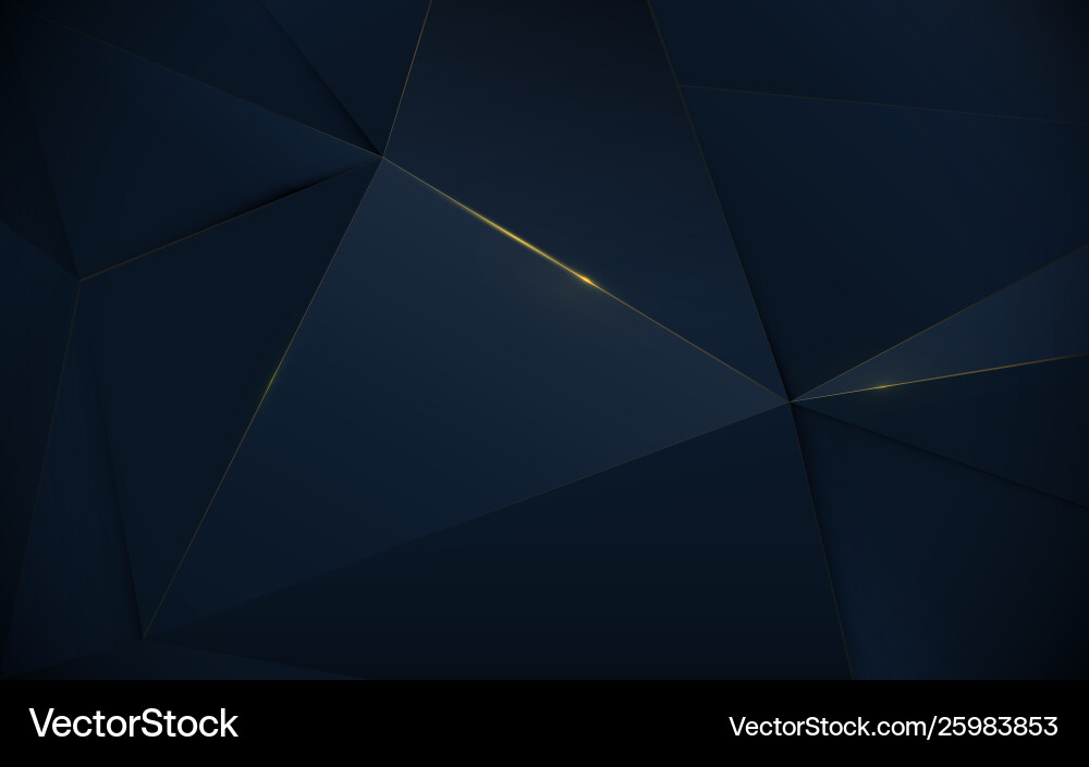 Abstract polygonal pattern luxury background Vector Image
