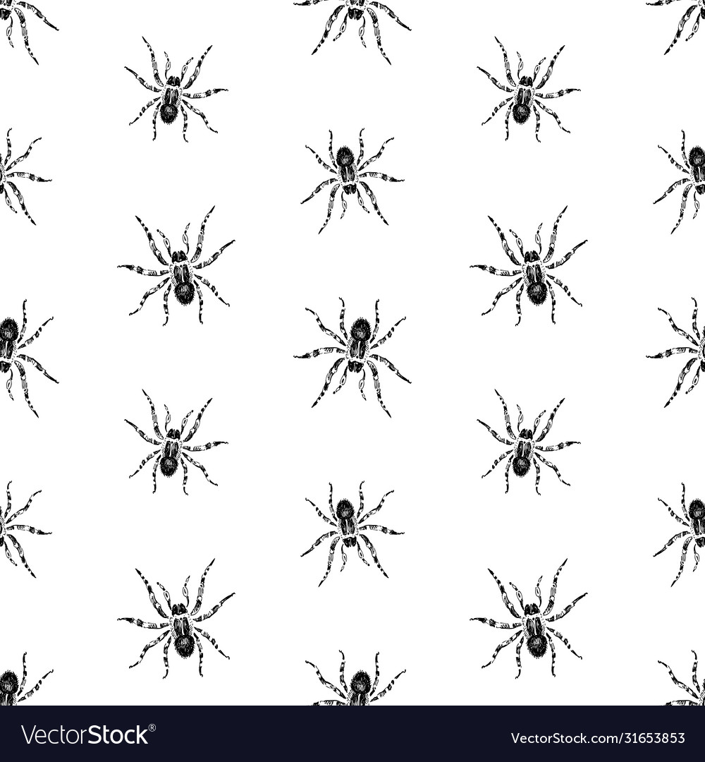 Seamless pattern drawn poisonous spiders Vector Image