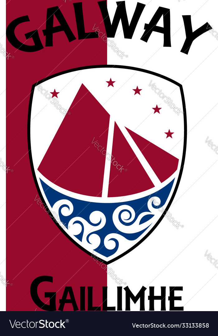 Flag county galway in ireland Royalty Free Vector Image