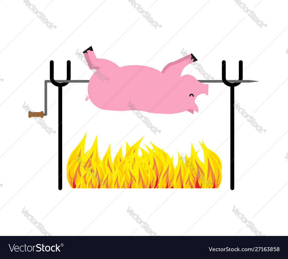 Roasted pig on spit pork fire Royalty Free Vector Image