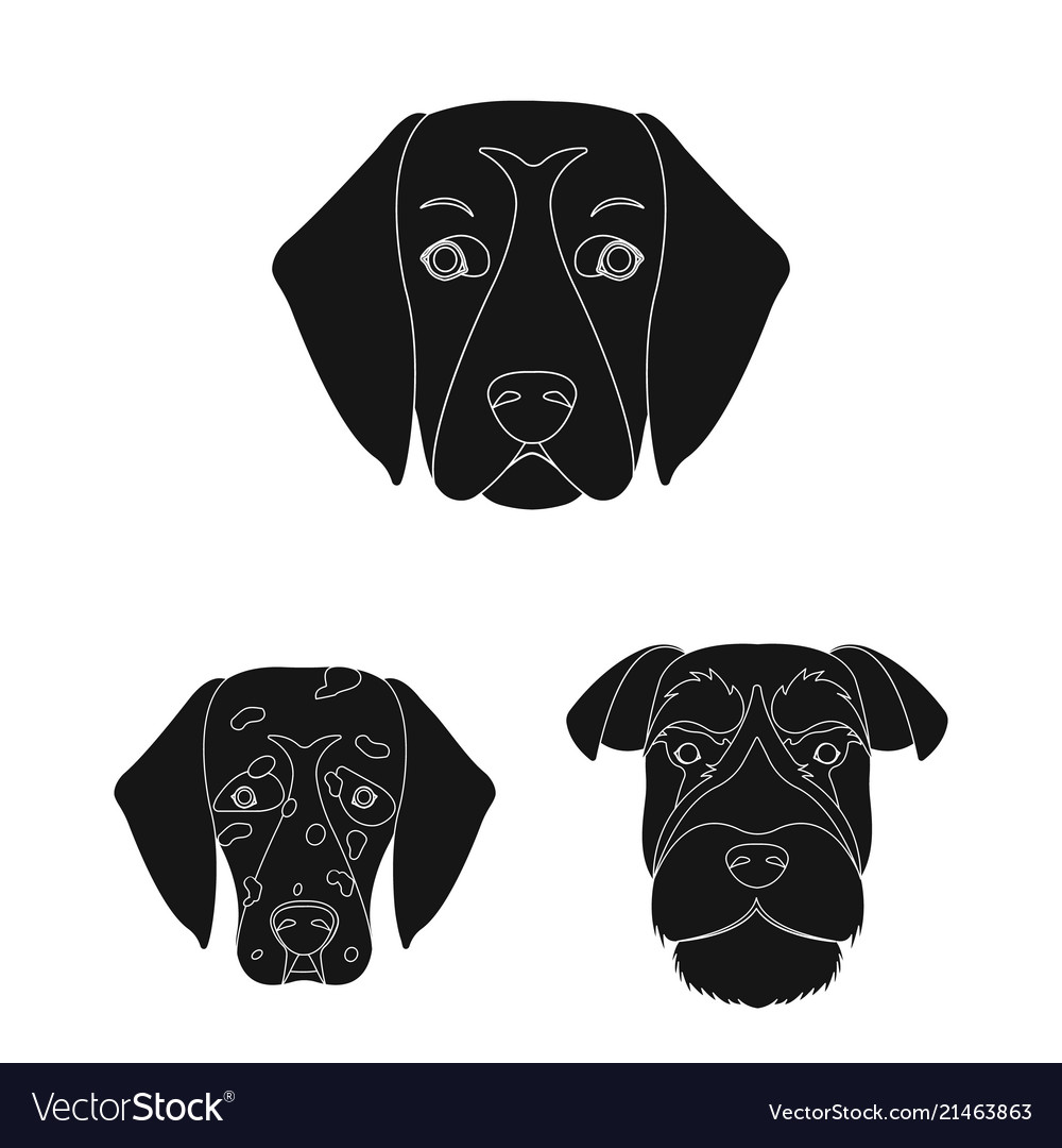 Dog breeds black icons in set collection