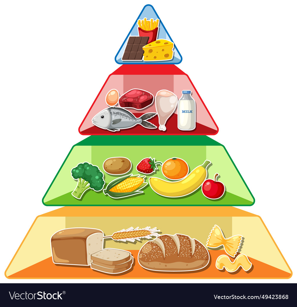 Cartoon food pyramid infographic a visual guide Vector Image