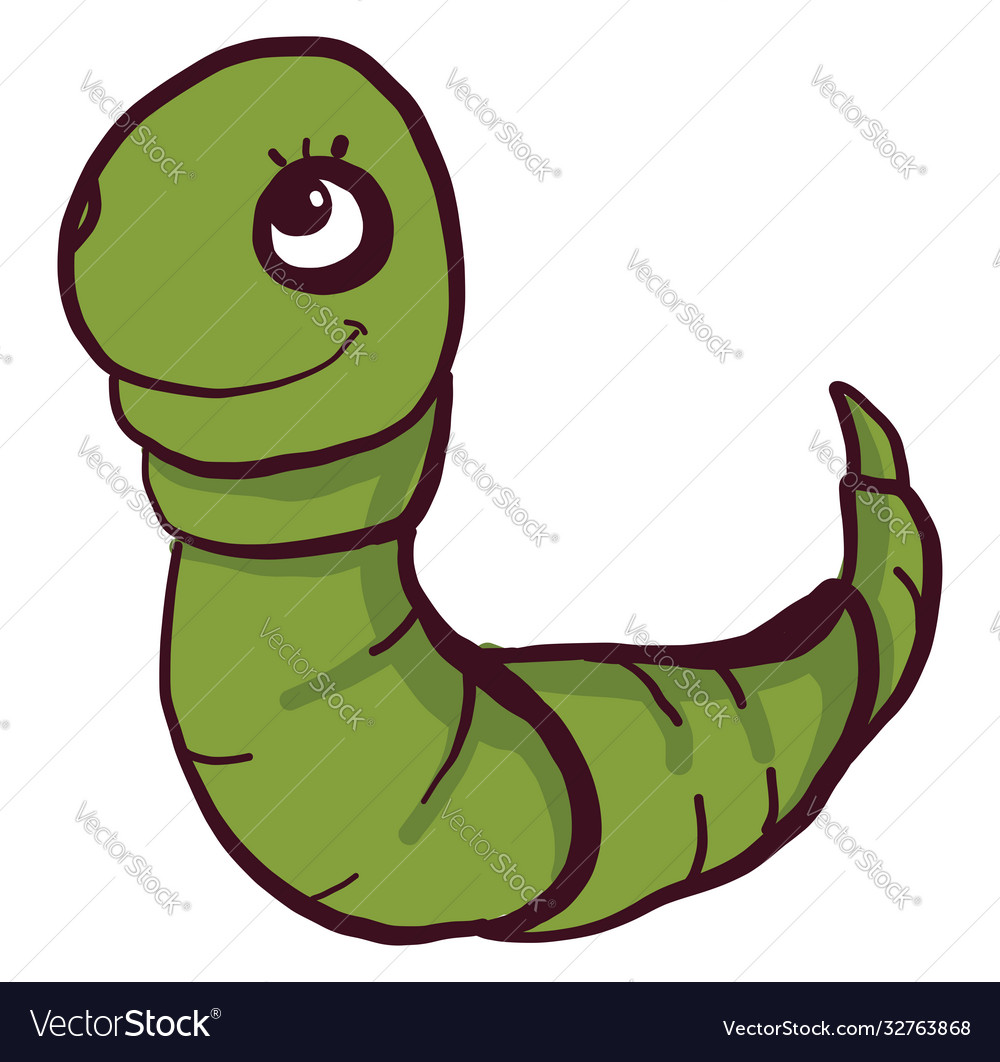 Green worm on white background