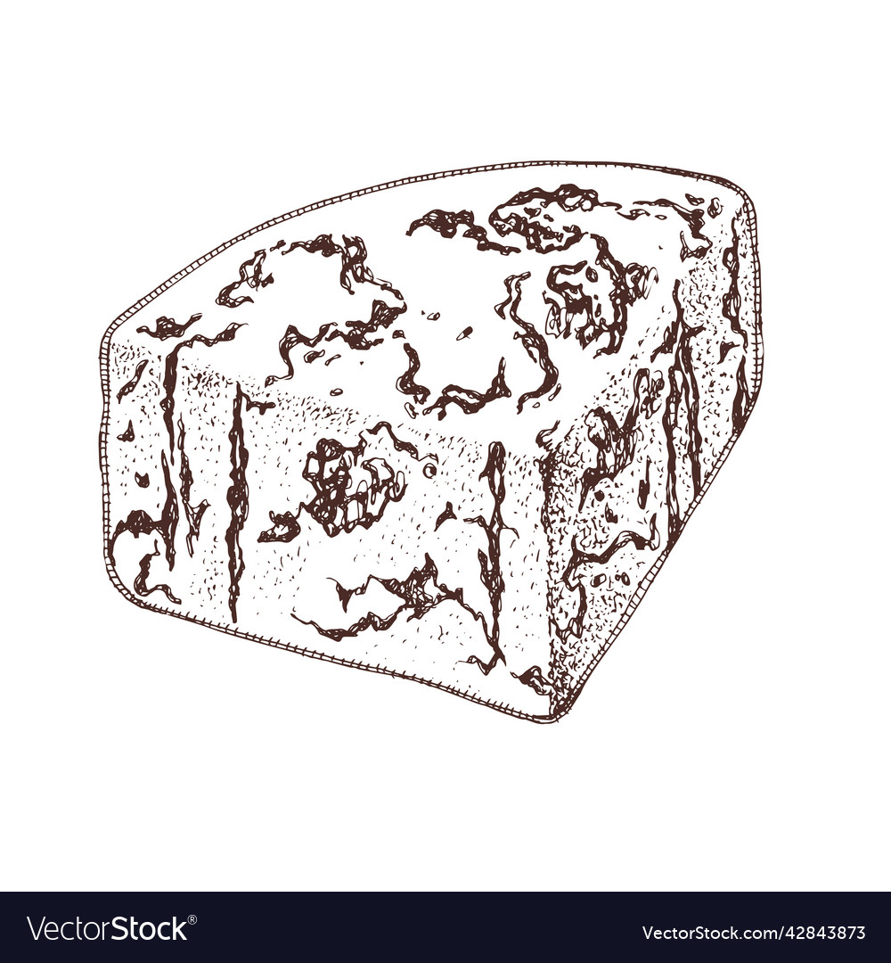 A slice of blue cheese monochrome Royalty Free Vector Image