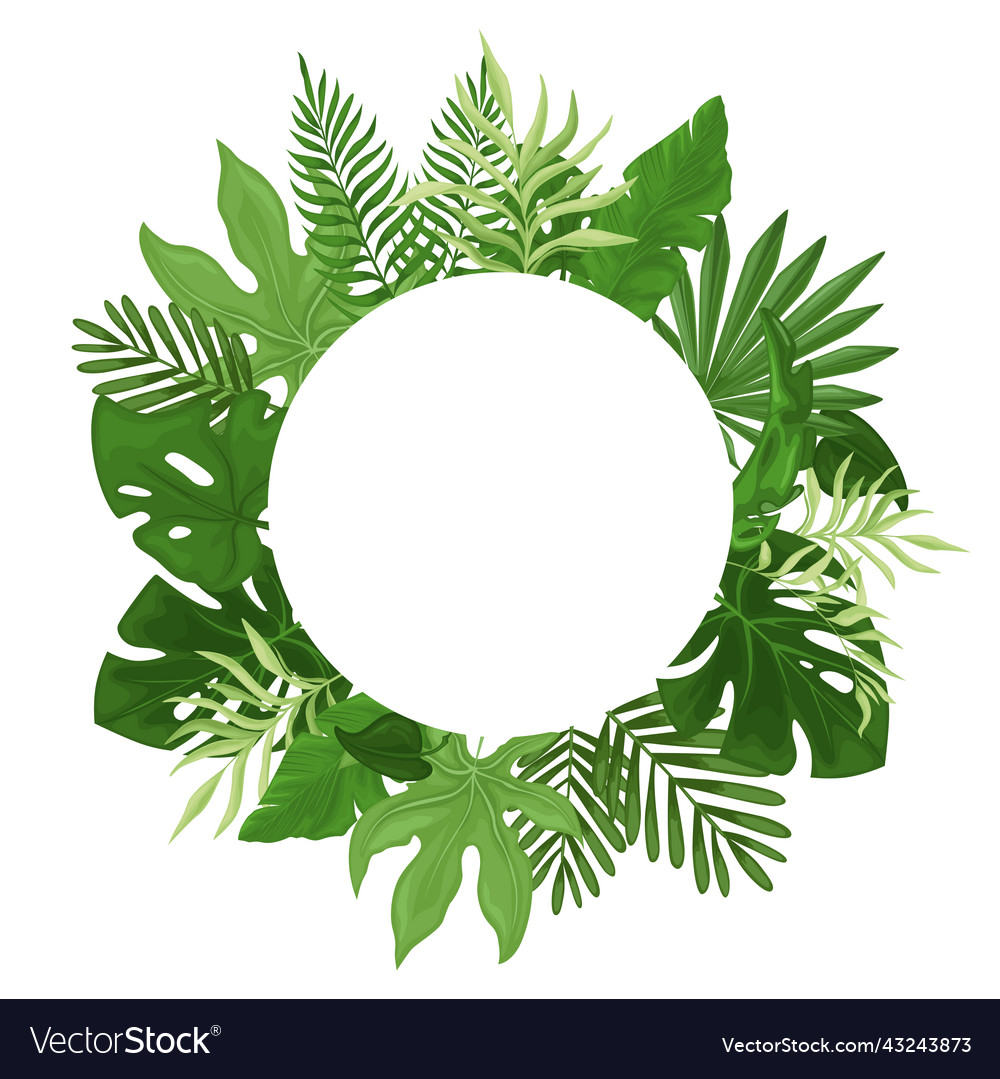 Tropical green palm leaves in a round frame Vector Image