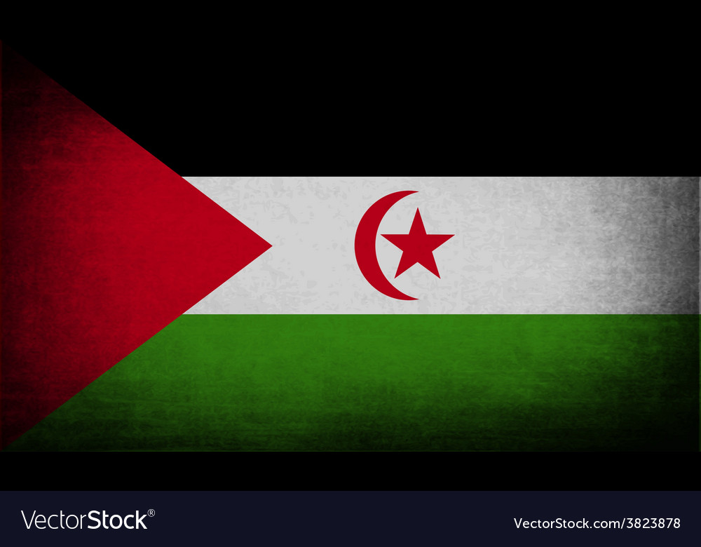 Flag of western sahara with old texture