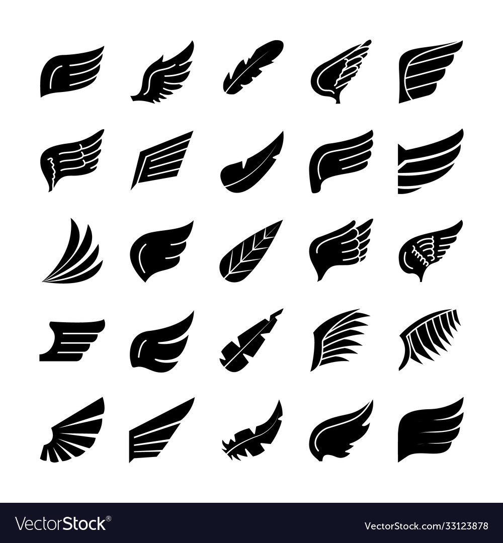 Wings and feathers icon set silhouette style Vector Image