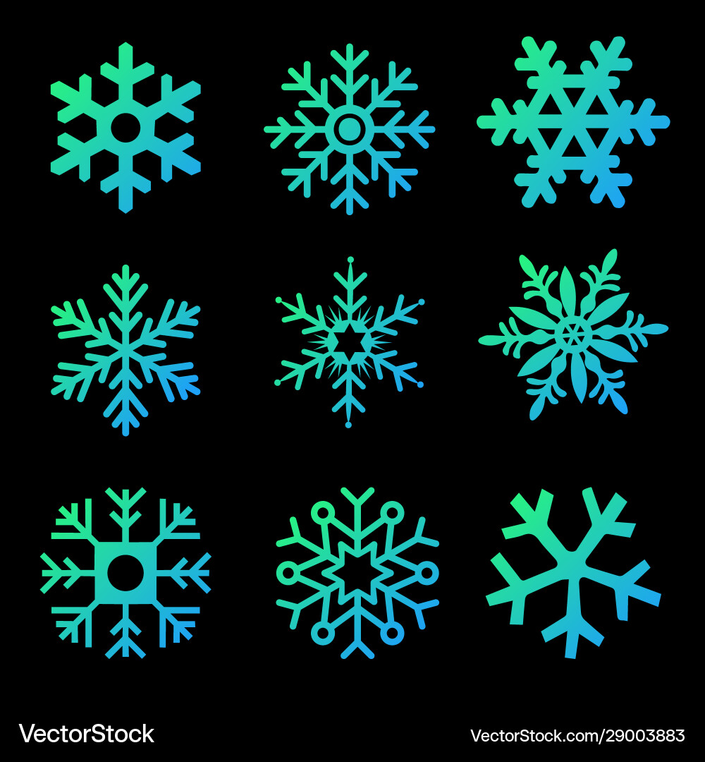 Modern gradient snowflakes set on a black Vector Image