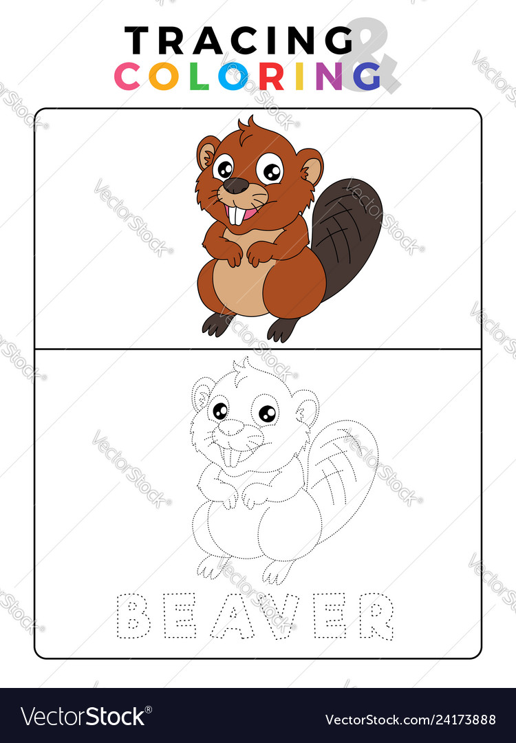 Funny Beaver Tracing And Coloring Book With Vector Image - Funny Beaver Tracing And Coloring Book With Vector Image