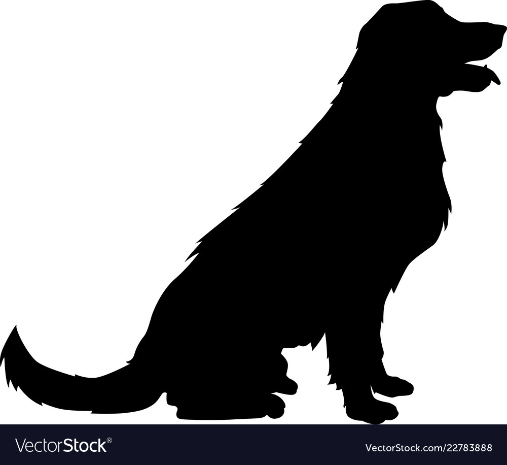 Golden Retriever Head SVG