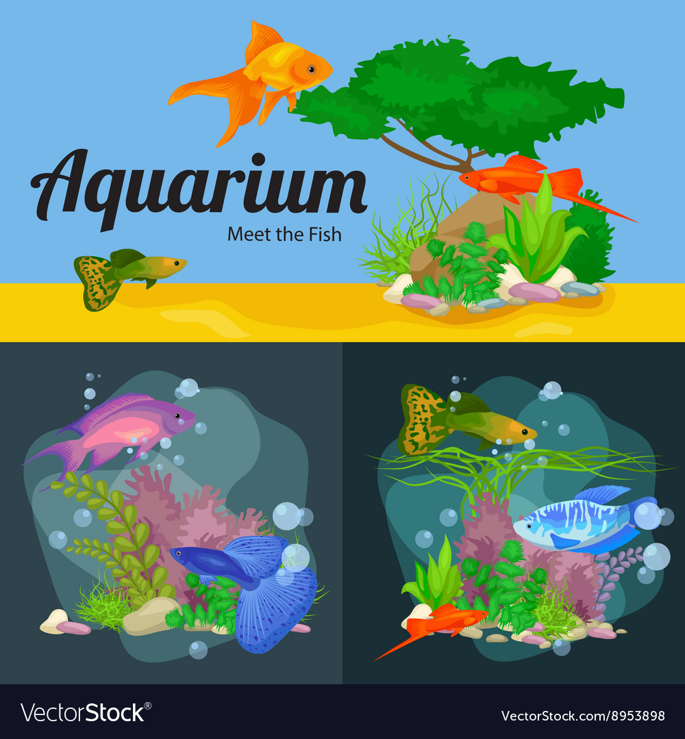 Aquarium Fish Seaweed Underwater Banner Template Vector Image