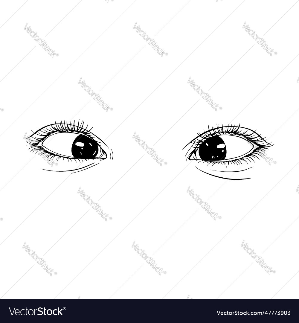 Beautiful hand drawn sketch female eyes line art Vector Image