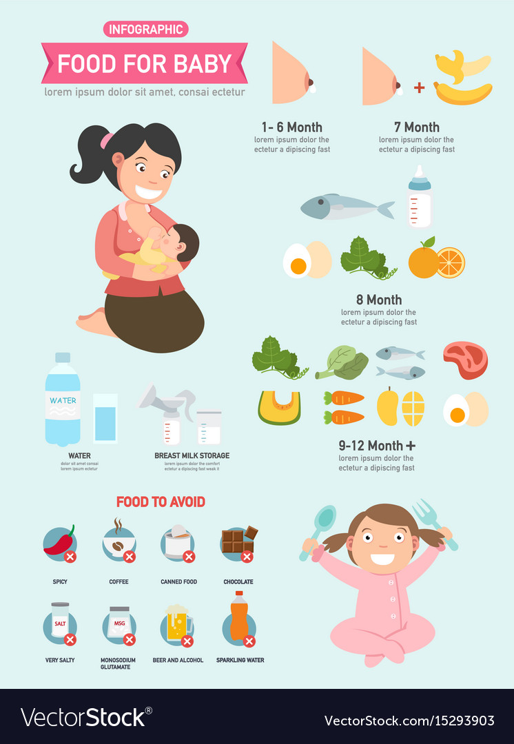 Food for baby infographic Royalty Free Vector Image