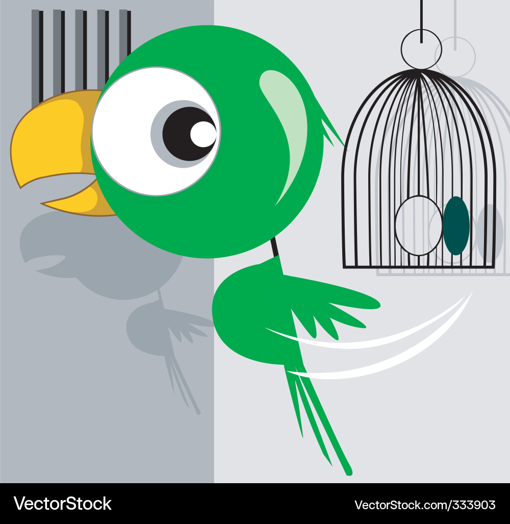 Parrot Royalty Free Vector Image - VectorStock