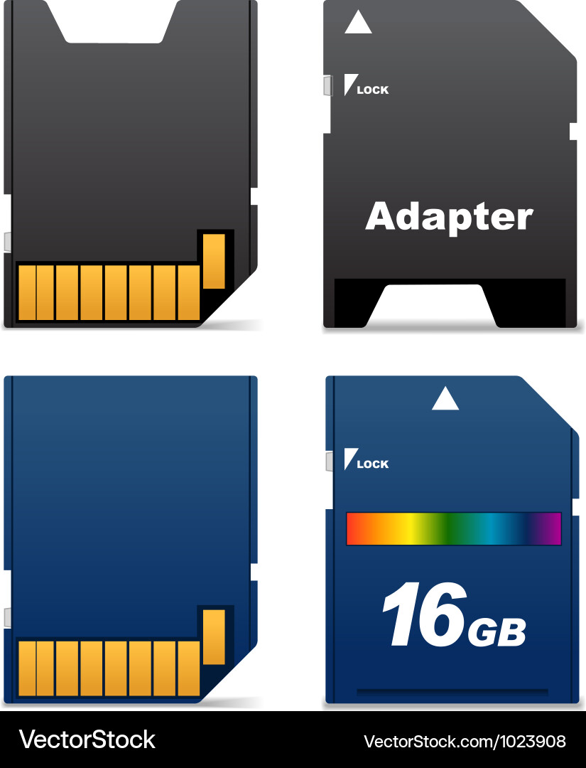 Digital card and adapter Royalty Free Vector Image