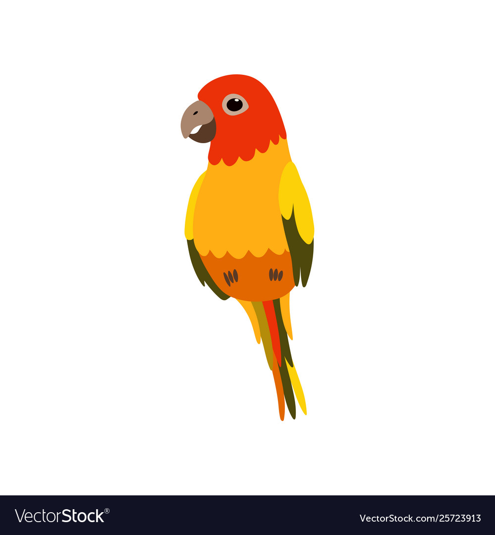 Little finch bird cute birdie home pet Royalty Free Vector