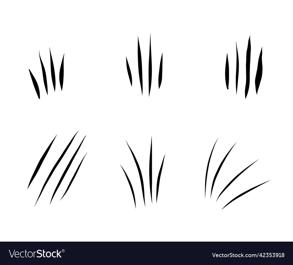 Animal scratches set Royalty Free Vector Image