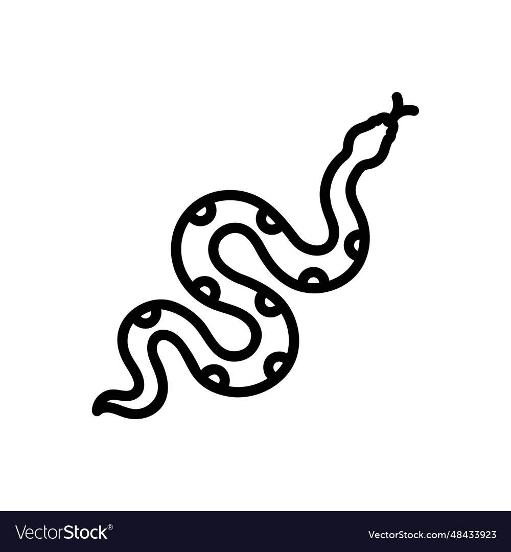 Snake Royalty Free Vector Image - VectorStock