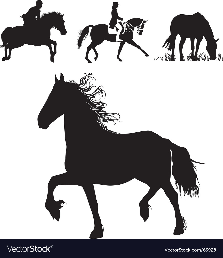 Horses Royalty Free Vector Image - VectorStock