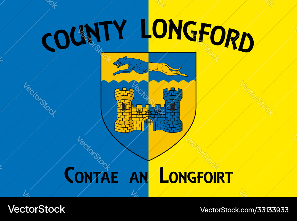 Flag county longford in ireland Royalty Free Vector Image