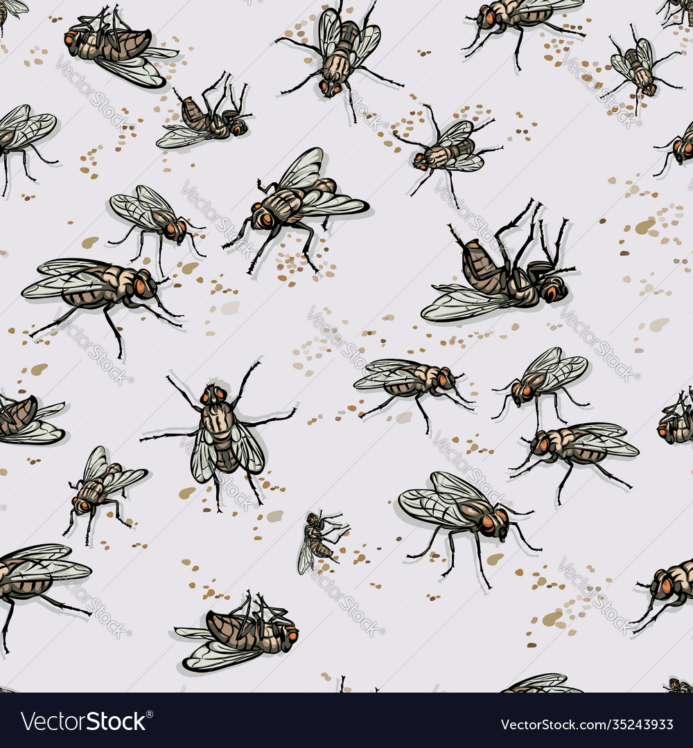 Fly insect various poses pattern