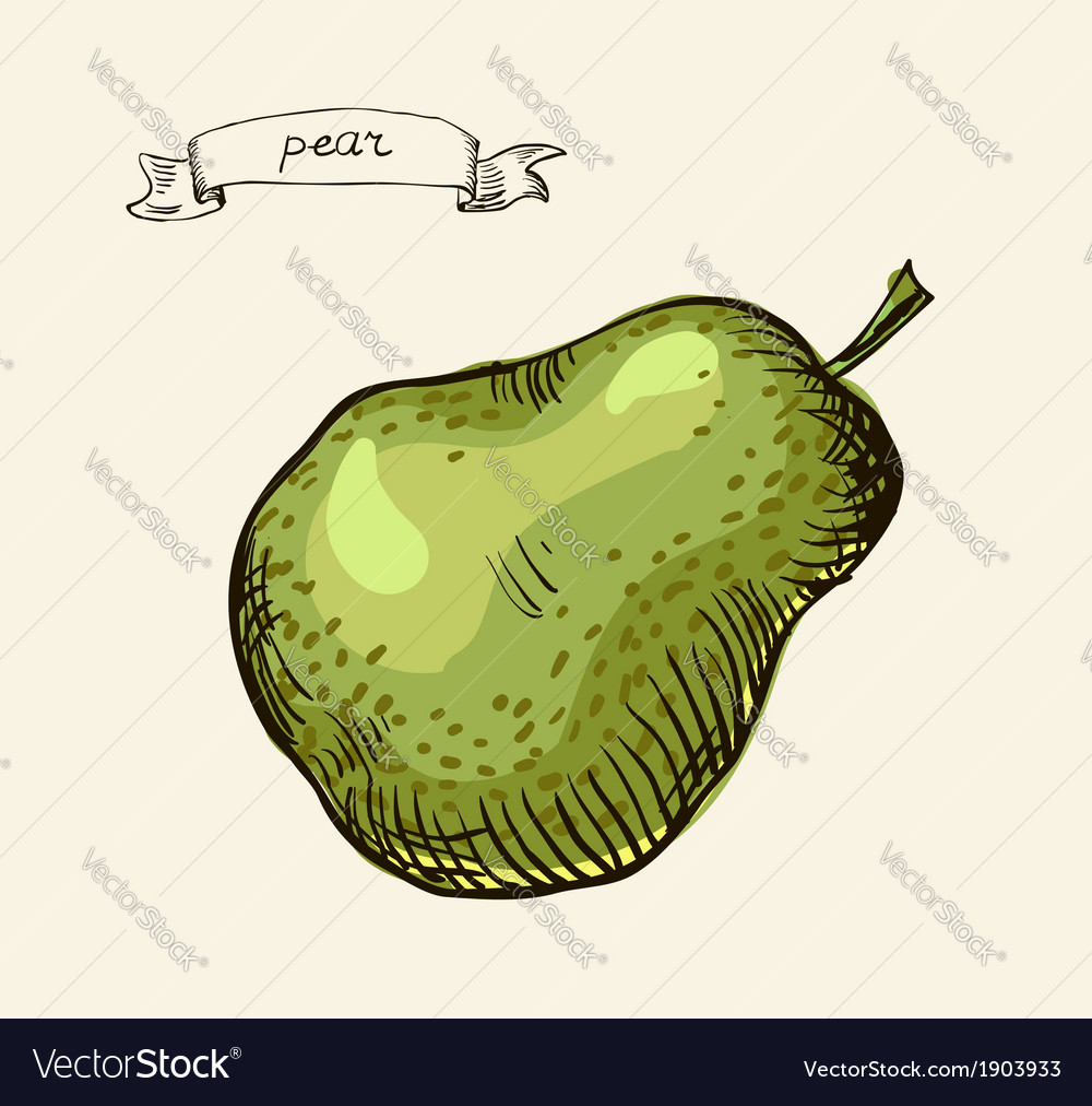 Pear sketch