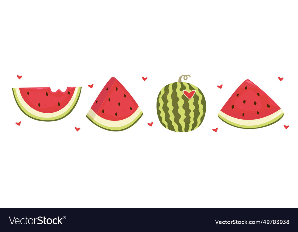 Juicy watermelon set