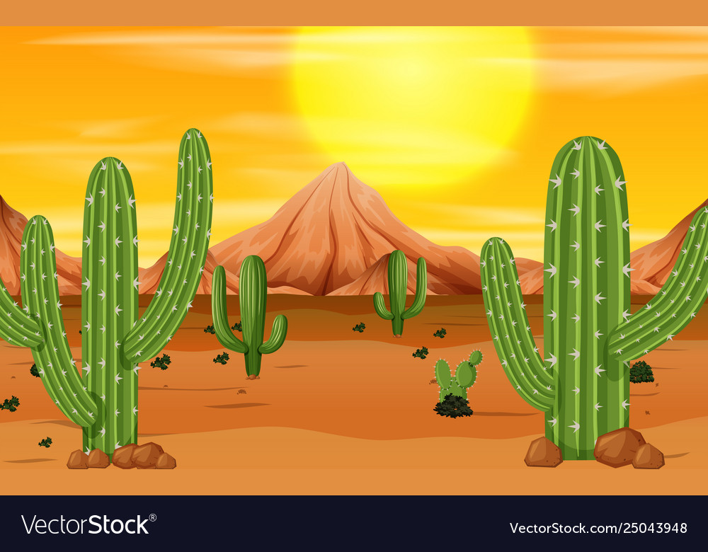 A desert sunset scene Royalty Free Vector Image