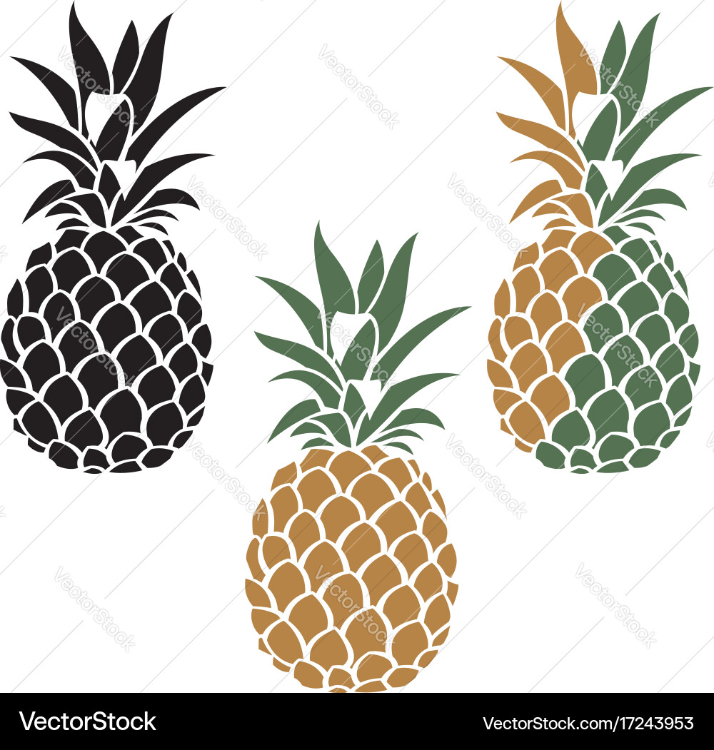Pineapple fruit set Royalty Free Vector Image - VectorStock