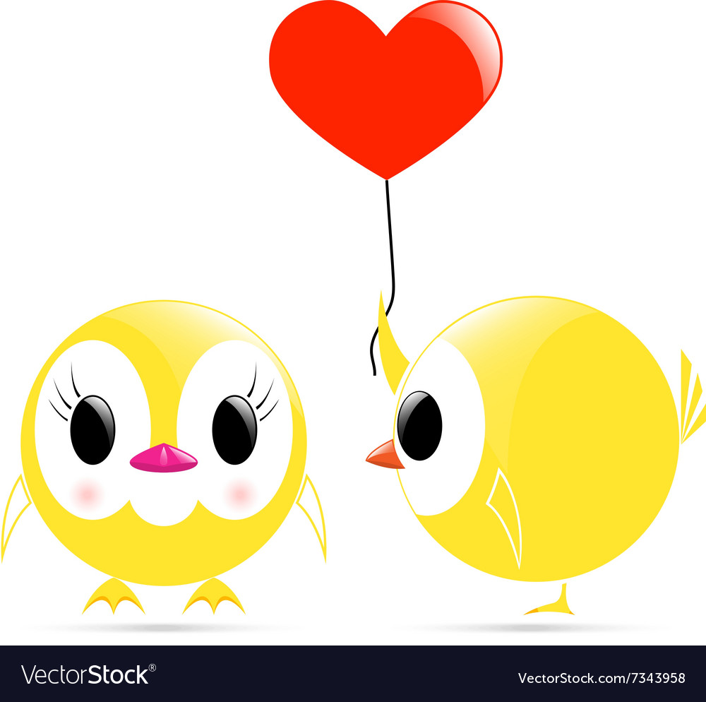 Chick heart