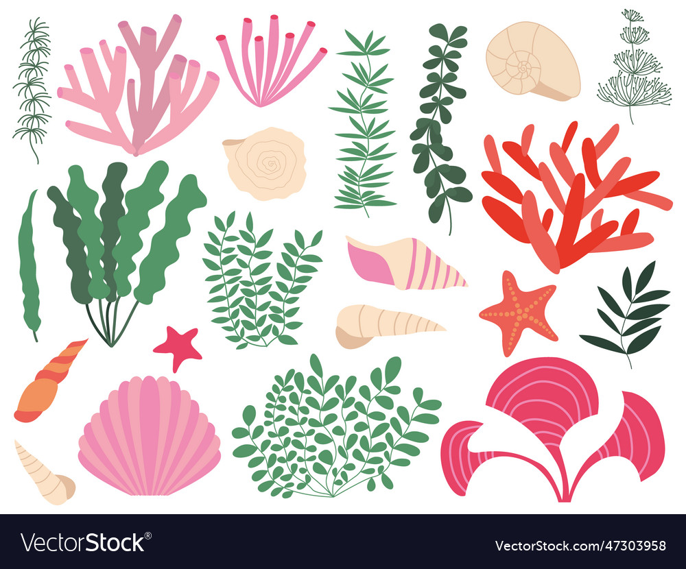 Underwater seaweed set