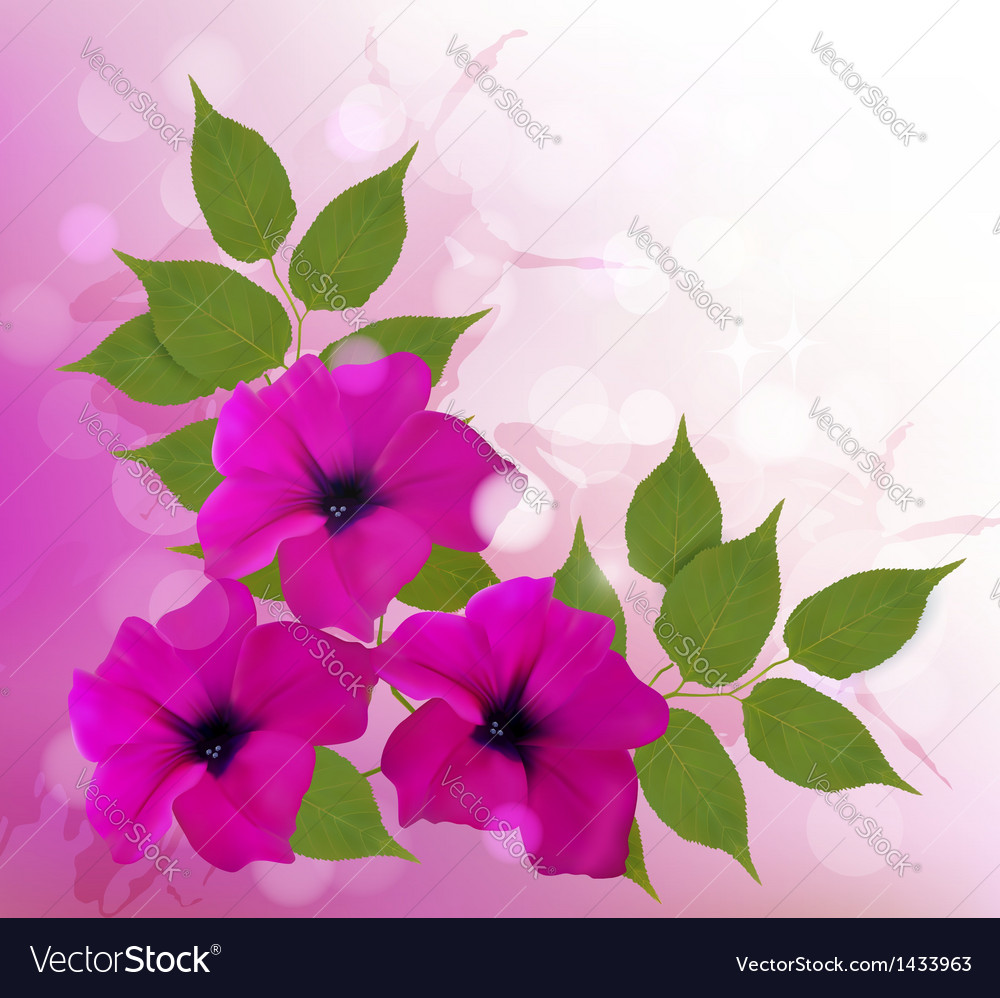 Nature background with pink beautiful flowers Vector Image