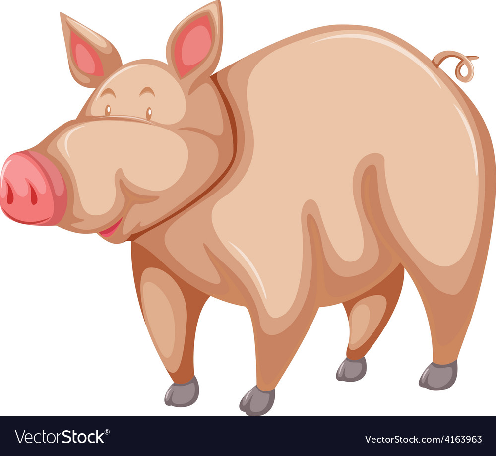 Pink pig