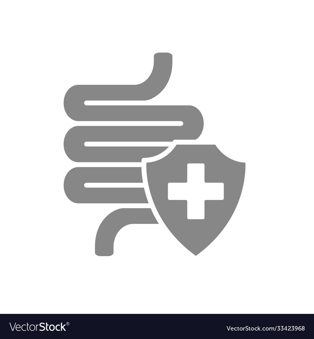 Healthy protected intestine grey icon digestive