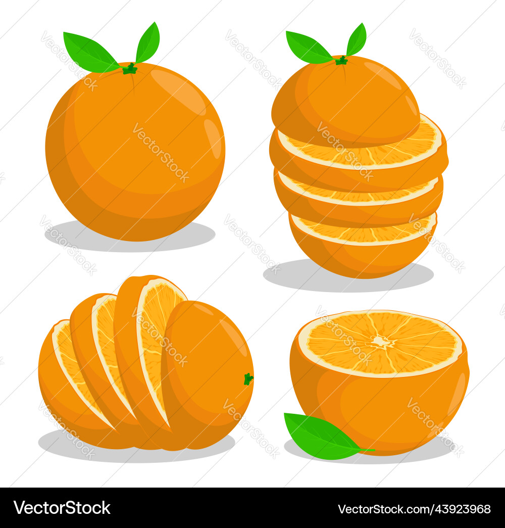 Orange fruit cut into rings juicy citrus Vector Image