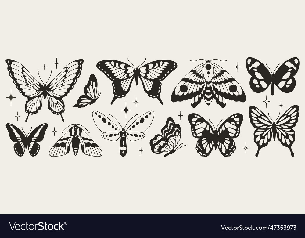 Butterfly seventh set of black and white wings Vector Image