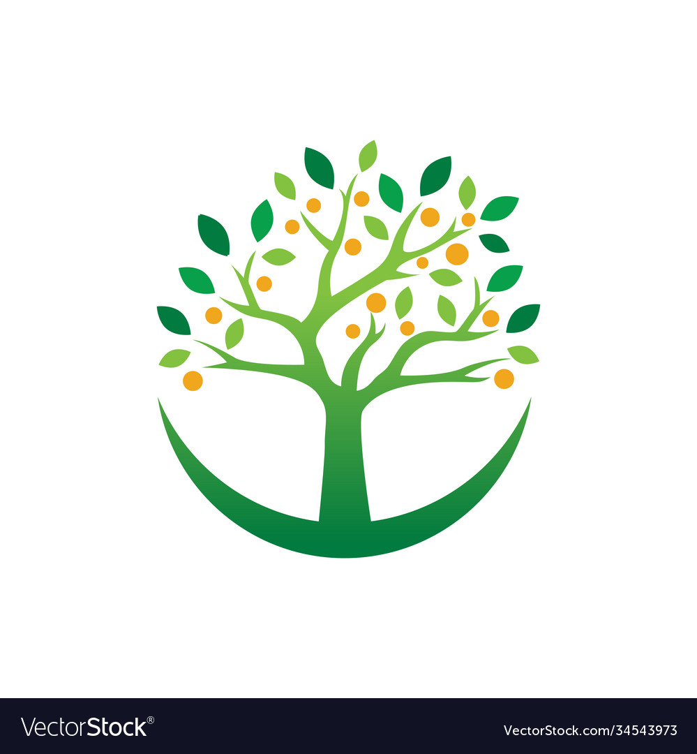 Tree nature icon design template isolated Vector Image