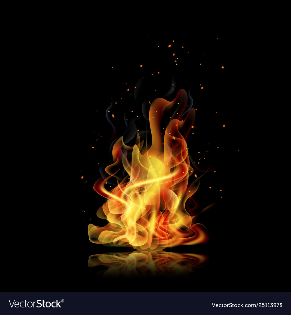 illustration of Realistic Burning Fire Flame on black background