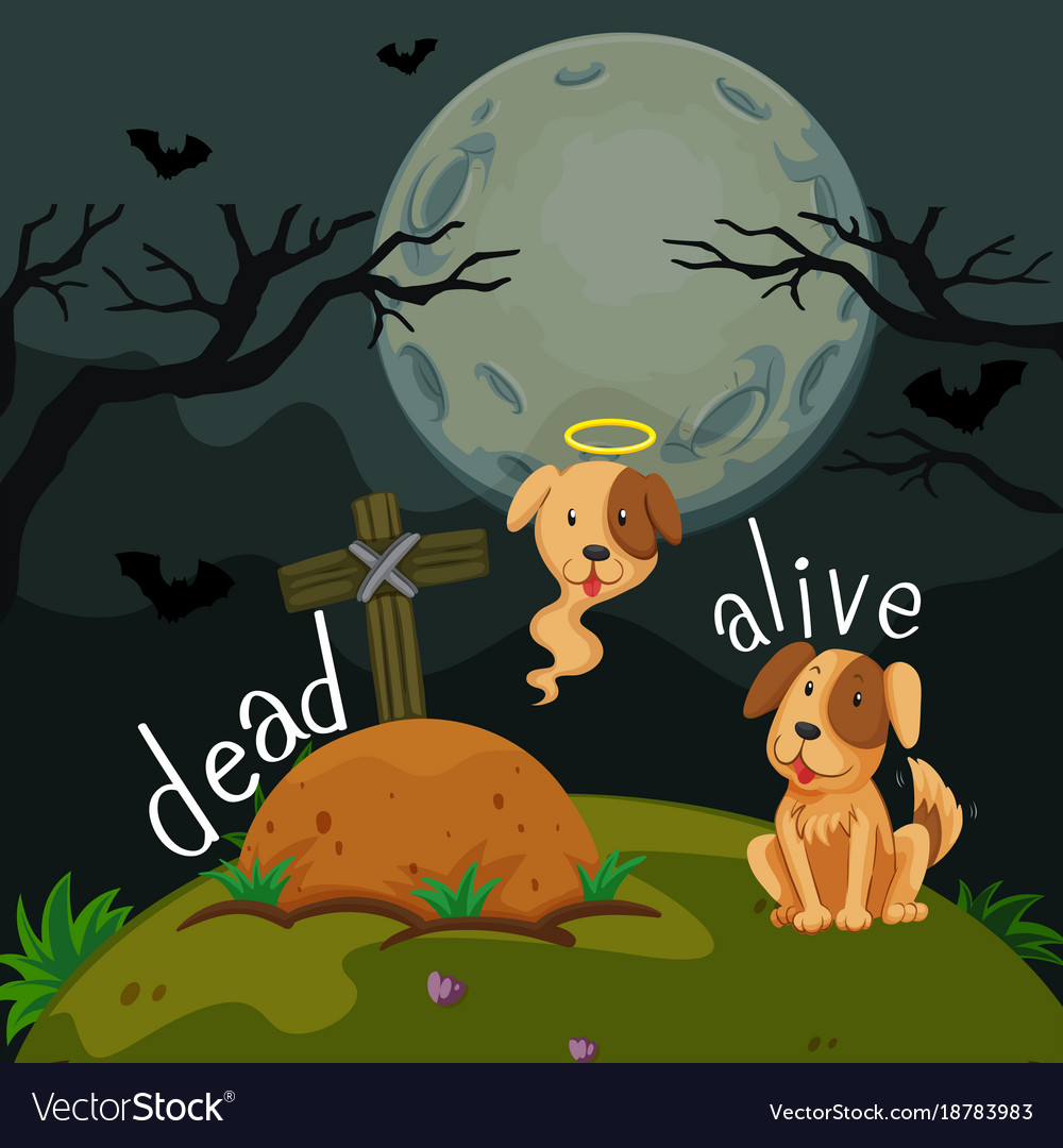 Opposite words for dead and alive Royalty Free Vector Image, alive