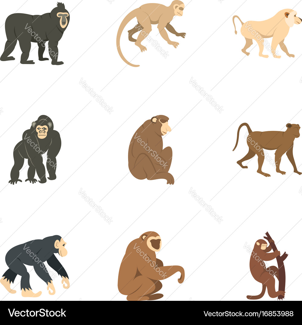 Different monkey icon set flat style Royalty Free Vector