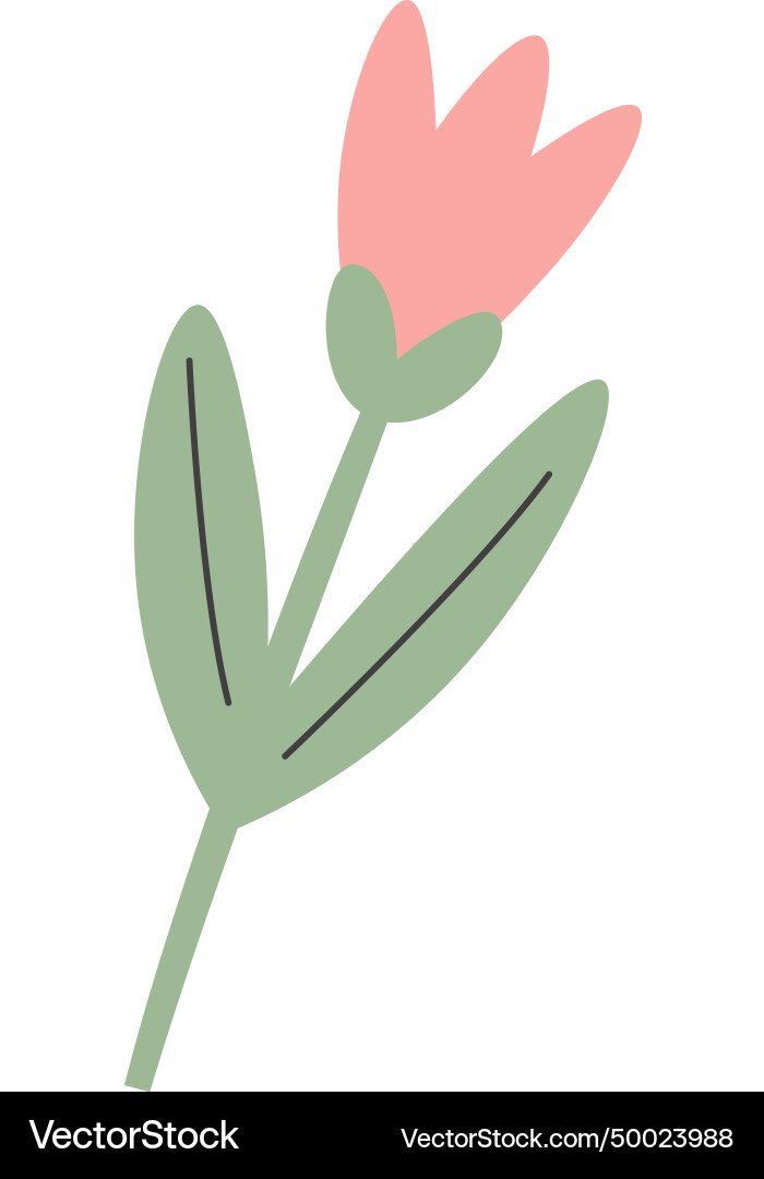 Flower on stem Royalty Free Vector Image - VectorStock